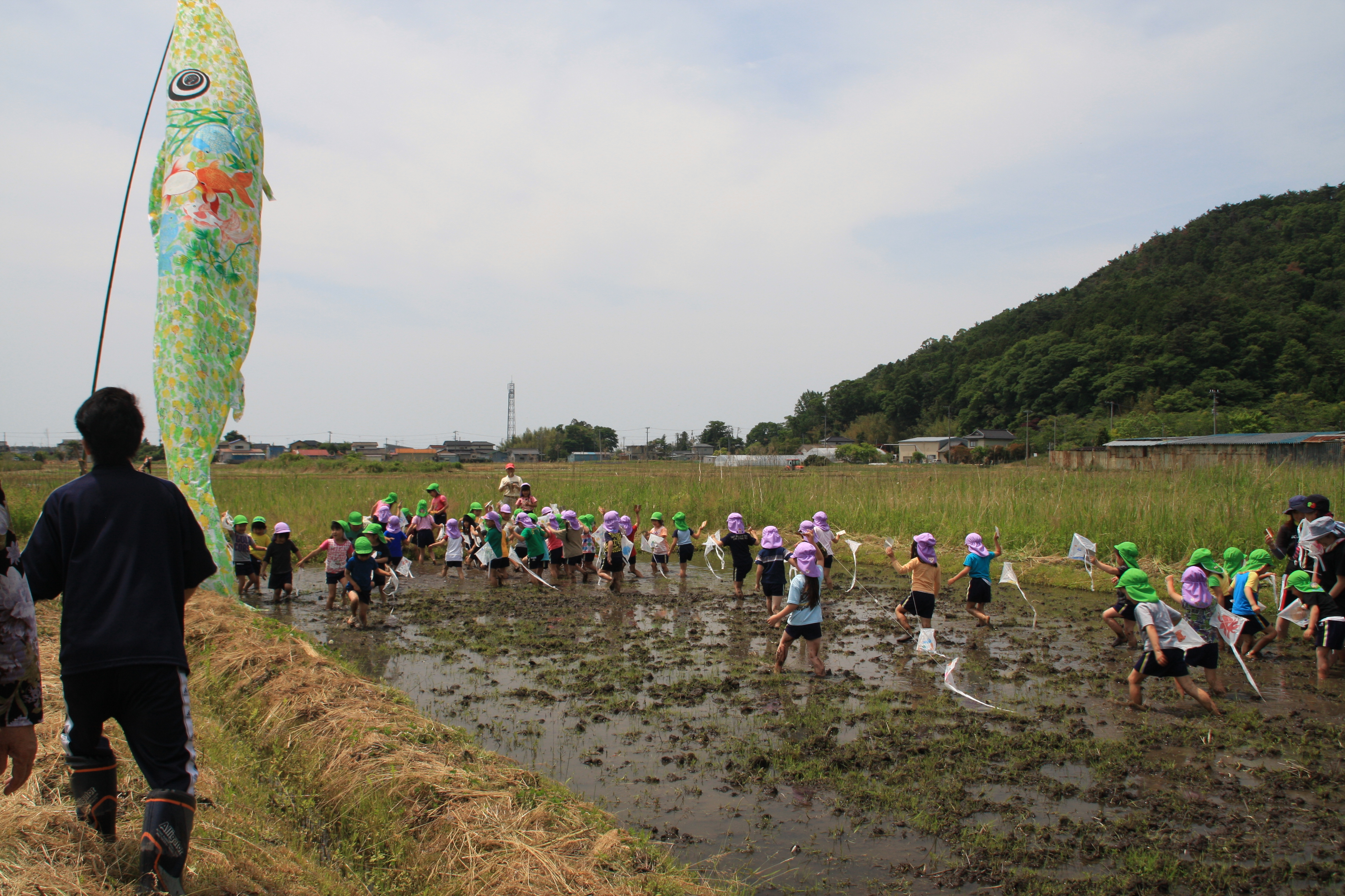 �D�񂱂����ч@