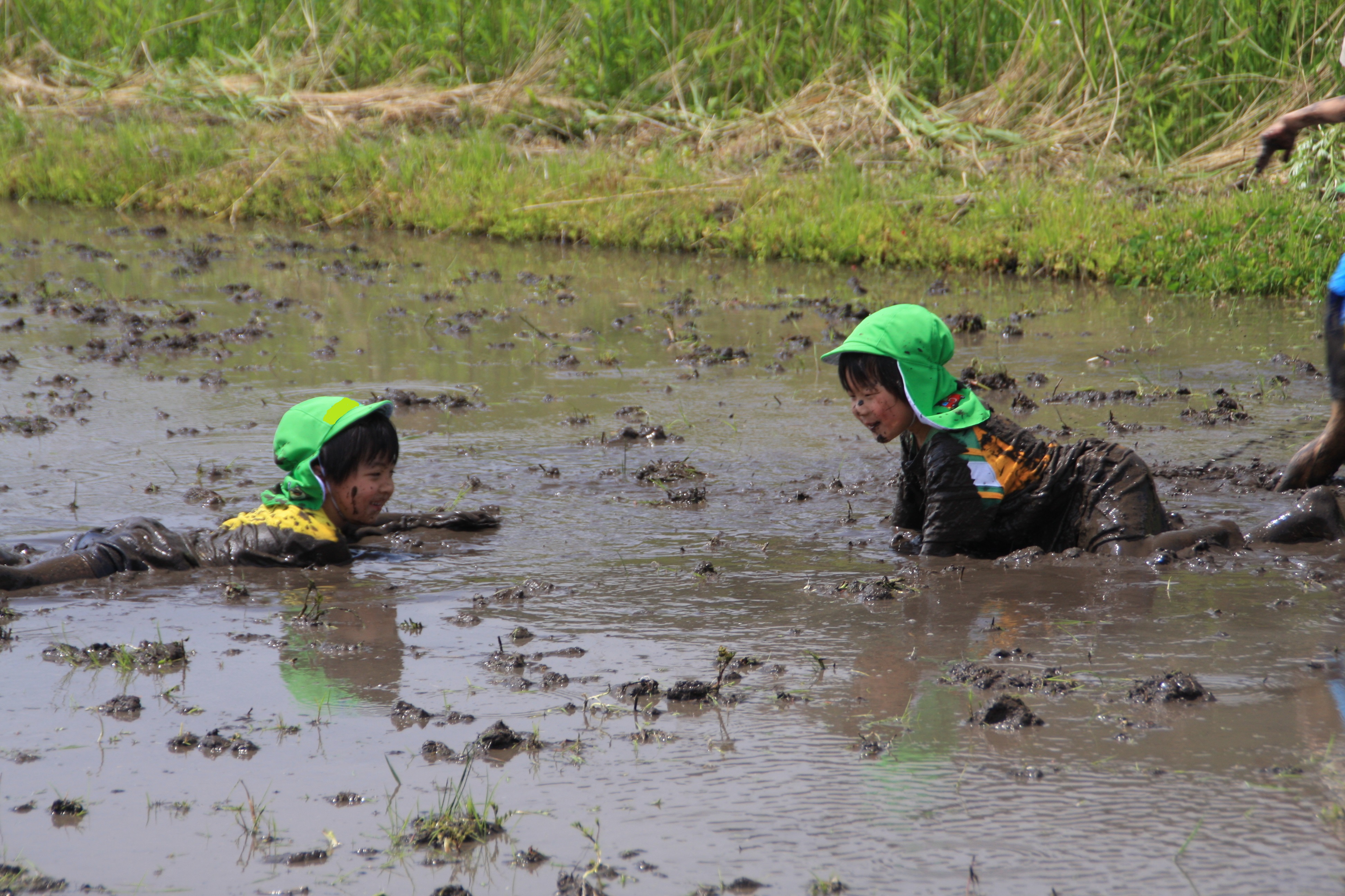 �D�񂱂����чA