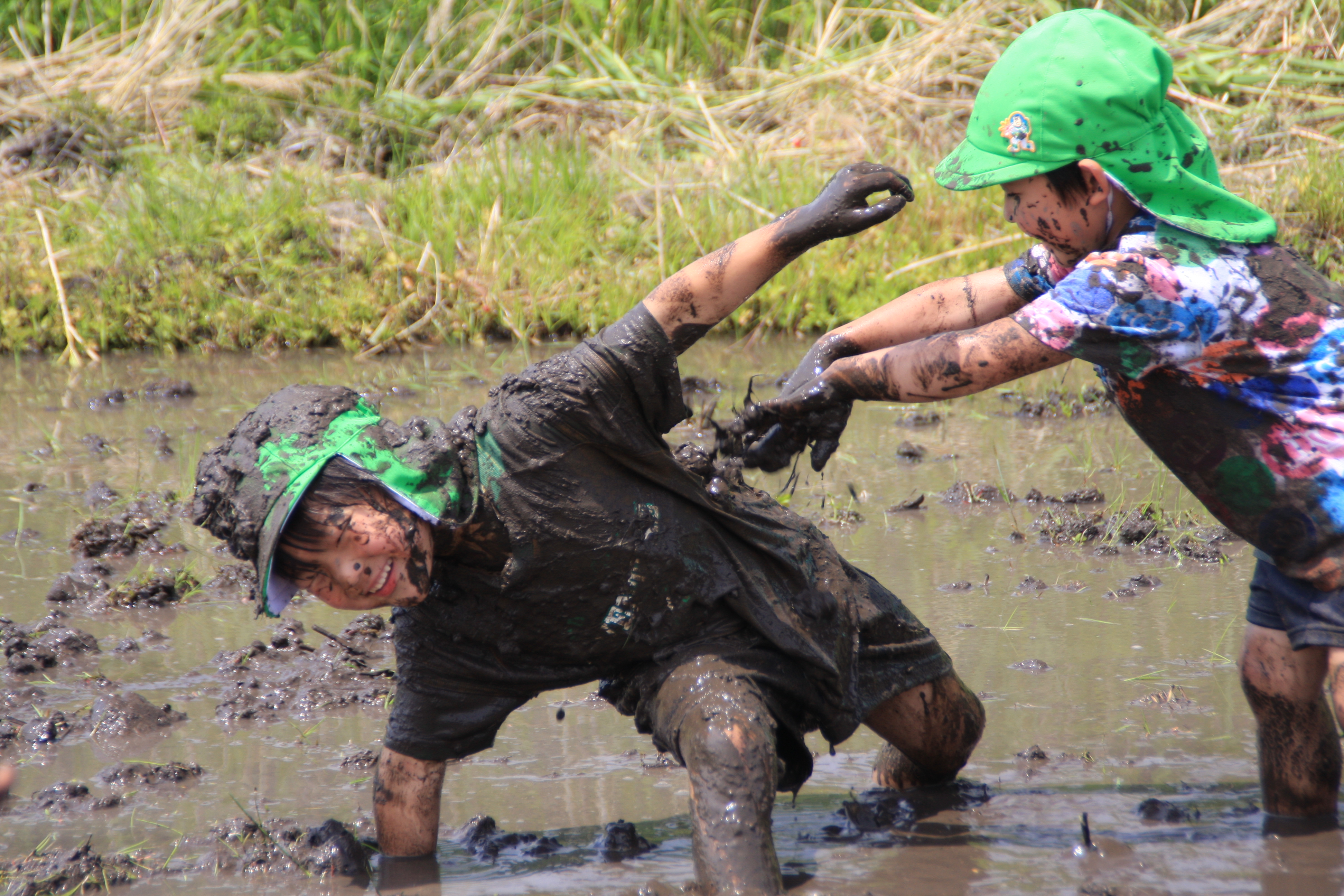 �D�񂱂����чB